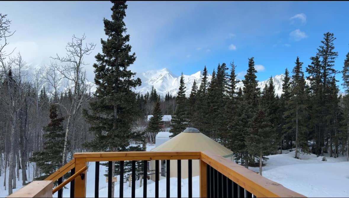 Mount Logan Ecolodge & Retreat Center Haines Junction Εξωτερικό φωτογραφία