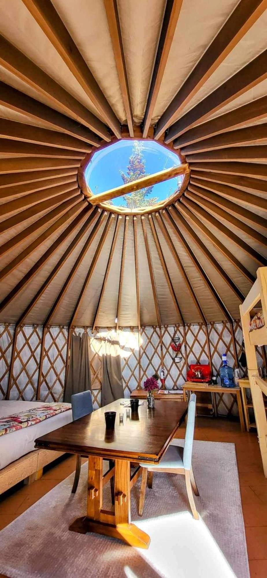 Mount Logan Ecolodge & Retreat Center Haines Junction Εξωτερικό φωτογραφία
